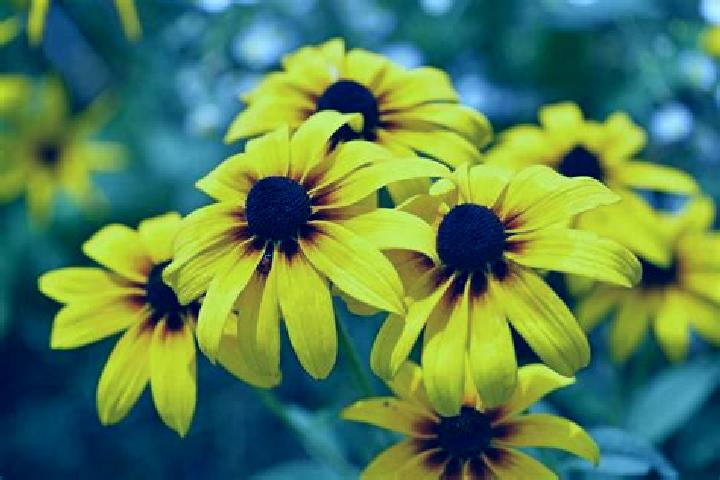 3 Eternal Drums: Rhythm of Fortune slot game