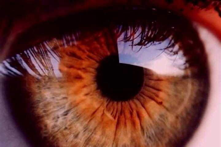 Almighty Reels - Garden of Persephone slot game