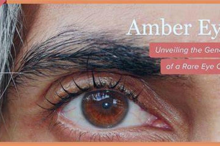 Bugaboo slot machine