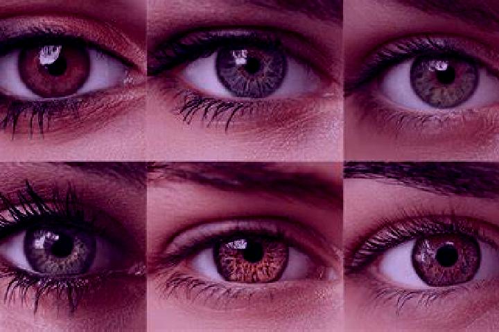 Captain Cutlass slot game
