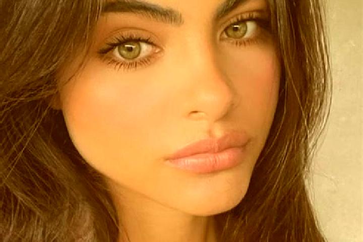 Dolphin Cash slot