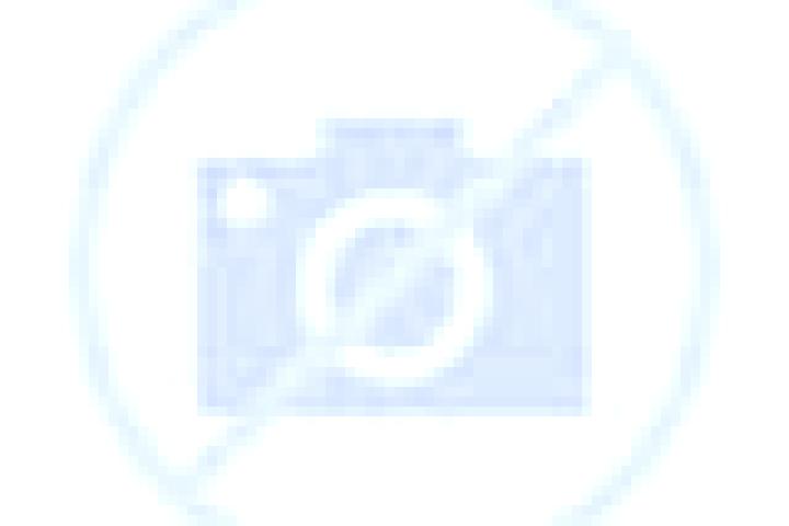 Fruit Shop Christmas Edition slot machine