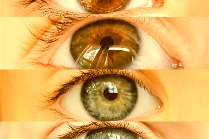 Giant Fish Hunter online slot