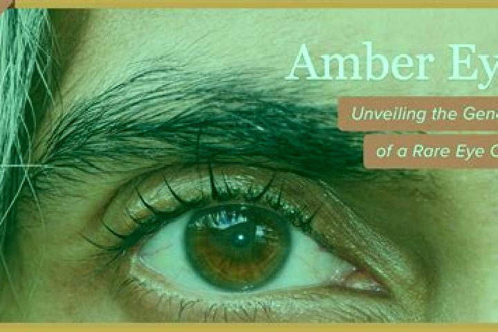Hail the Judge slot game