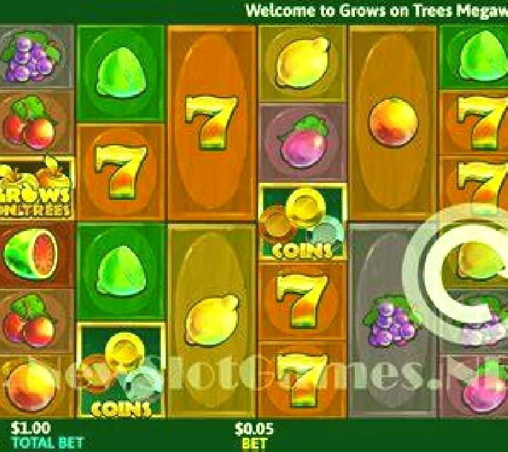 Lucky Number x12 online slot