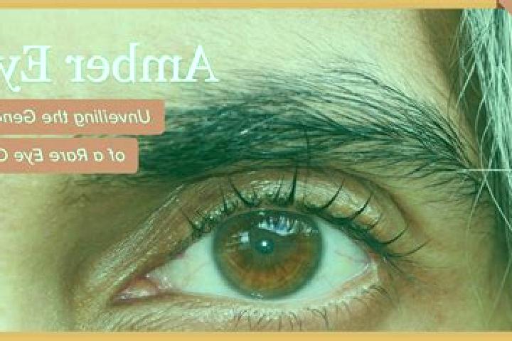 Mega Ace Ultimate slot machine