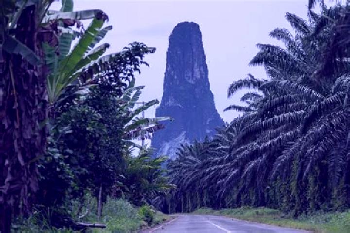 No Chill Phil online slot