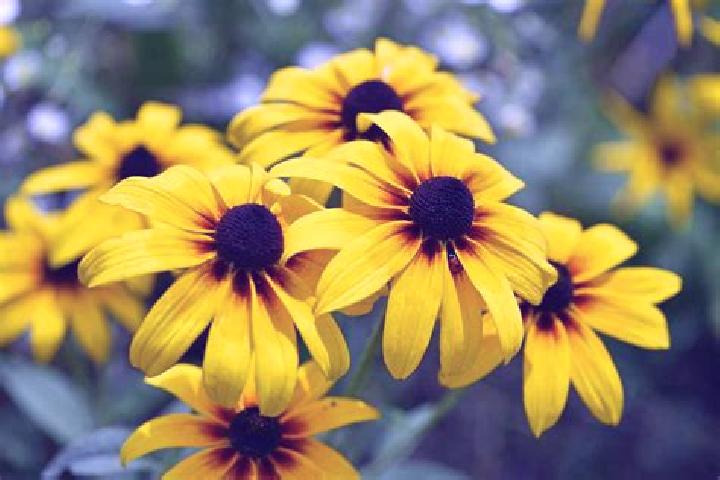 Trial And Error online slot
