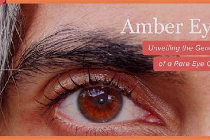 Tropical Fruit (esball) online slot