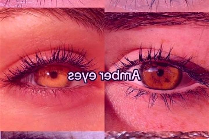 Wild Expedition slot machine